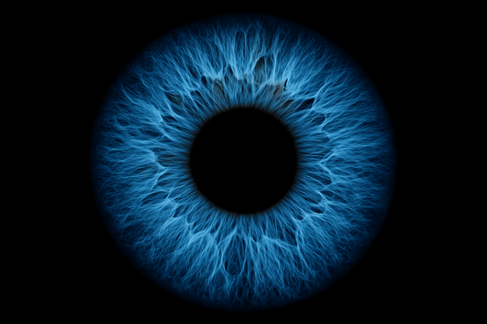 image d'un iris do'eil bleu sur fond noir