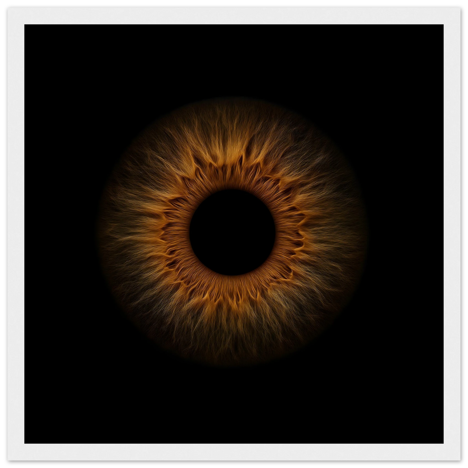 01565a96-b91b-4494-9026-dd04a1c07734