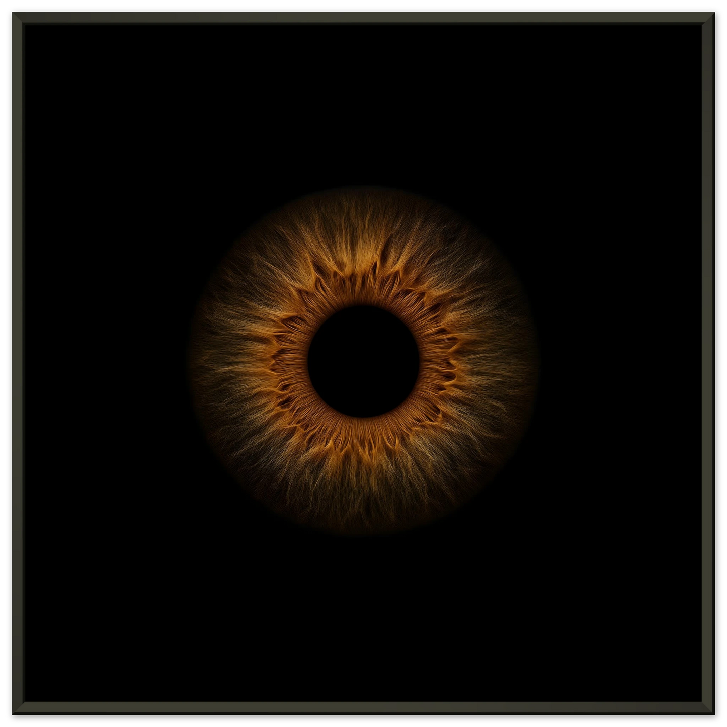 5383322d-df5b-43fa-a3ac-52fad43eec3c