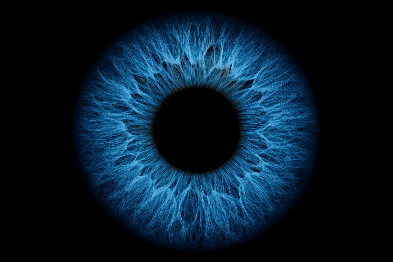 image d'un iris do'eil bleu sur fond noir